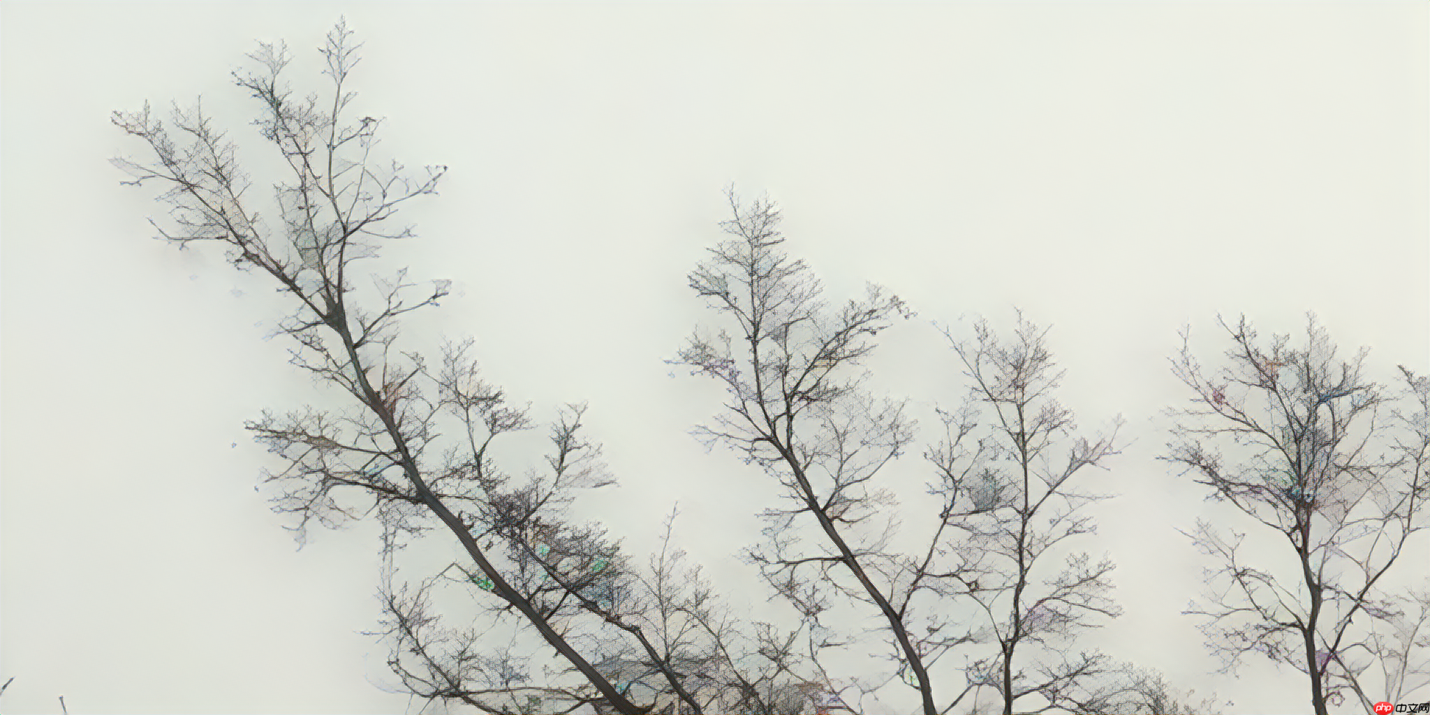 基于飞桨复现RealESRGAN - php中文网