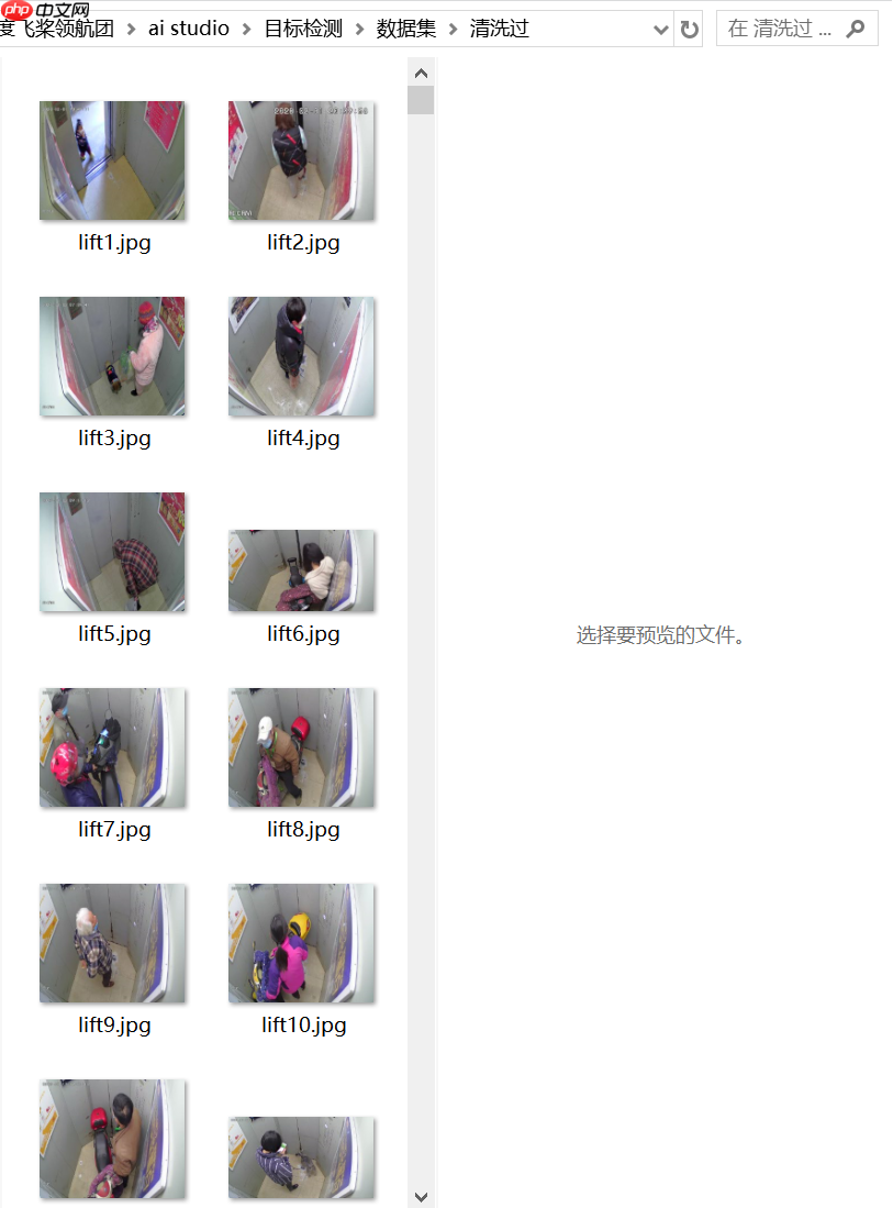 手把手教你用PaddleDetection套件训练目标检测模型 - php中文网