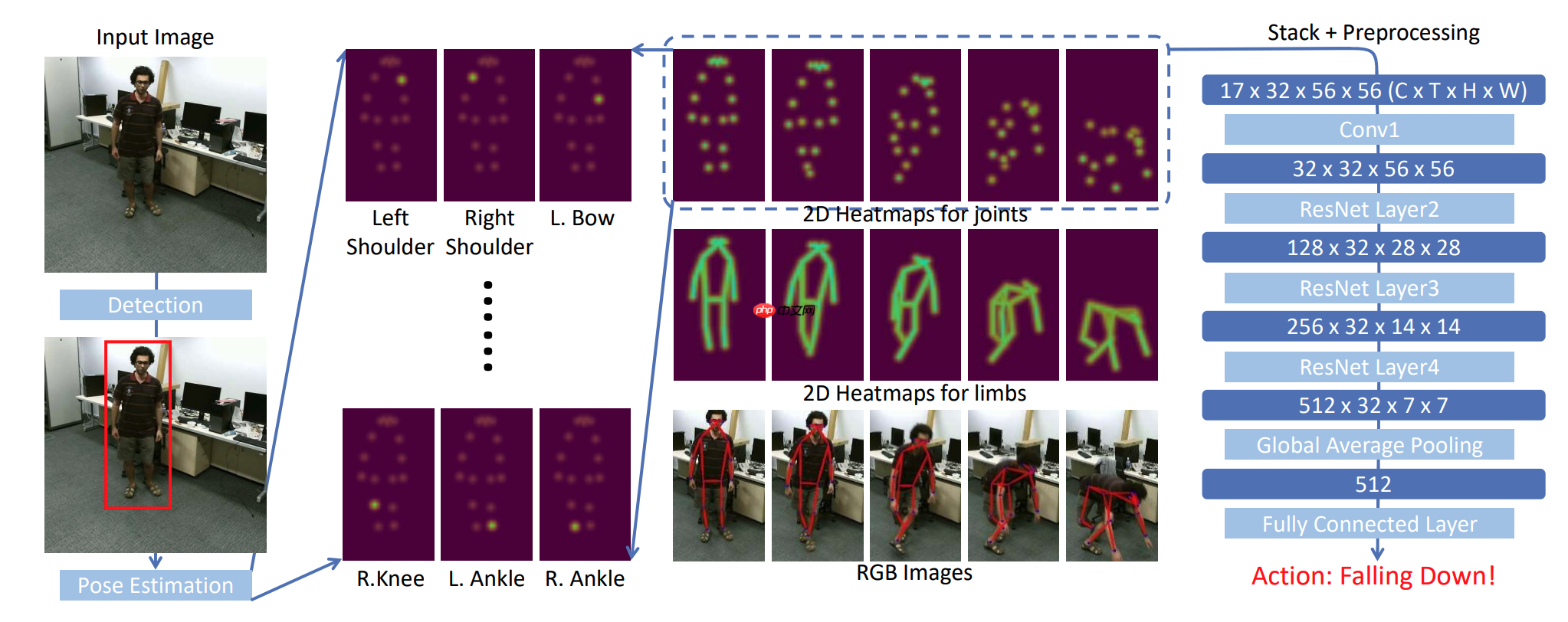 骨骼点动作识别-基于Paddle复现PoseC3D - php中文网