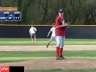 骨骼点动作识别-基于Paddle复现PoseC3D - php中文网