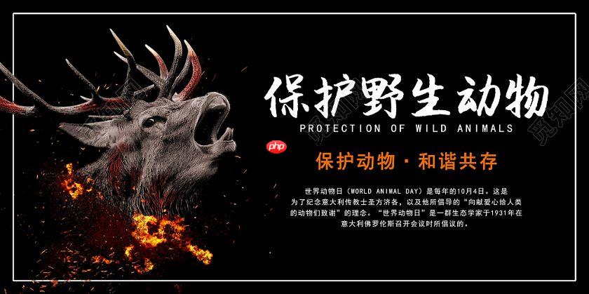 中国一级保护动物识别 - php中文网