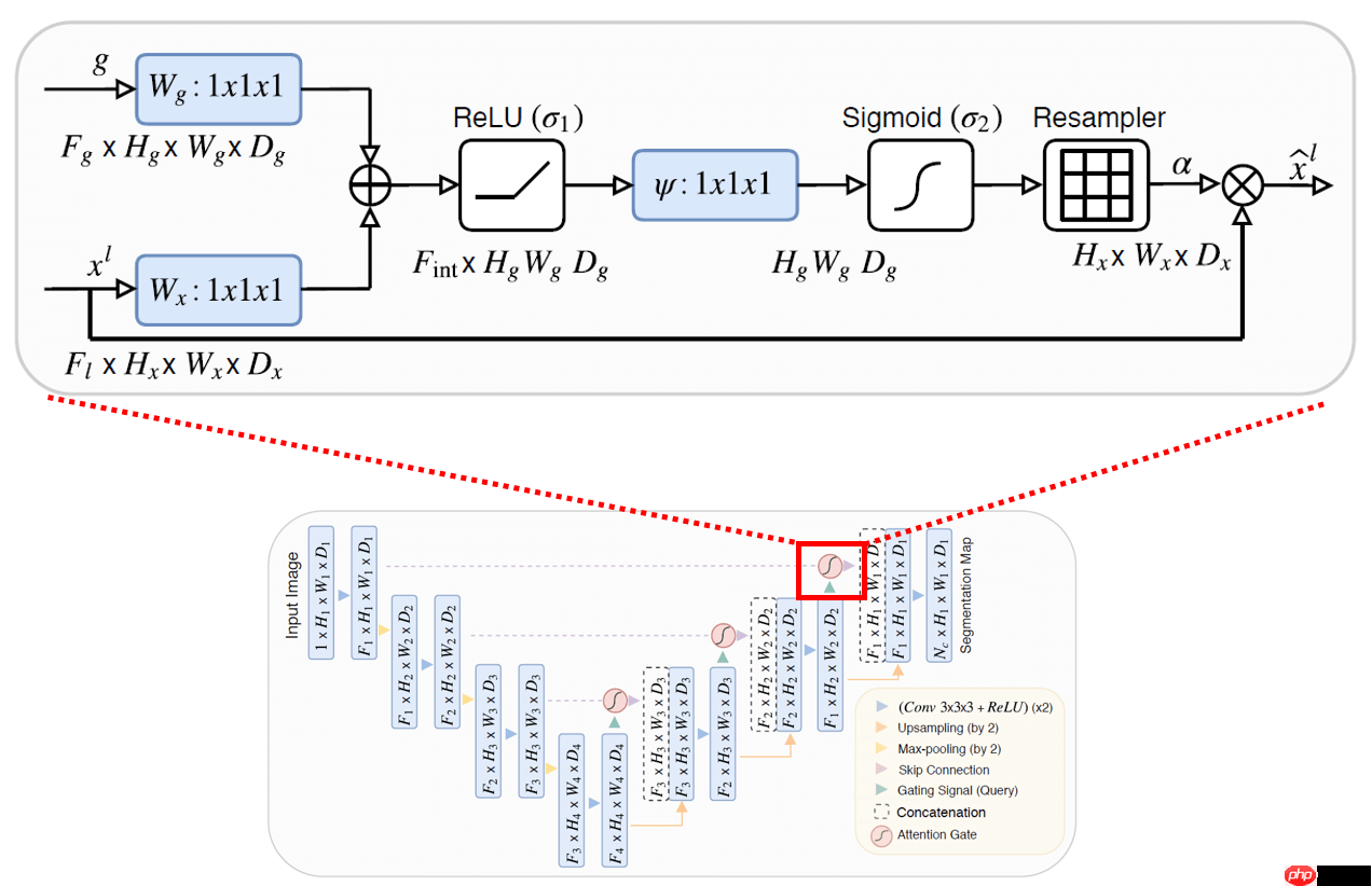基于Attention U-Net的宠物图像分割 - php中文网