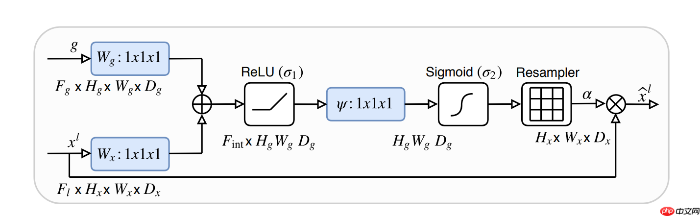 基于Attention U-Net的宠物图像分割 - php中文网