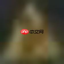 【Paddle打比赛】 交通标志分类识别 - php中文网