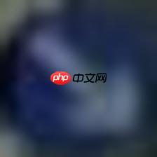 【Paddle打比赛】 交通标志分类识别 - php中文网