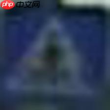 【Paddle打比赛】 交通标志分类识别 - php中文网