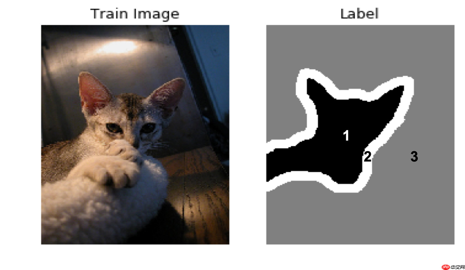 《人工智能导论：案例与实践》 基于U-Net实现宠物图像分割 - php中文网