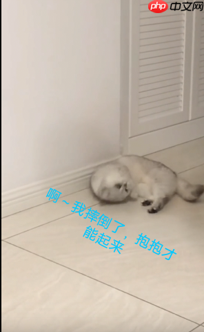 基于PaddleDetecion的跌倒检测 - php中文网