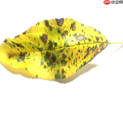 [AI特训营第三期]全流程前沿超轻量PPLCNetV2苹果病害识别 - php中文网