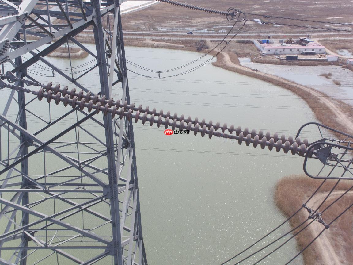 基于PaddleX2.0-PicoDet实现高压输电线路绝缘子缺陷检测 - php中文网