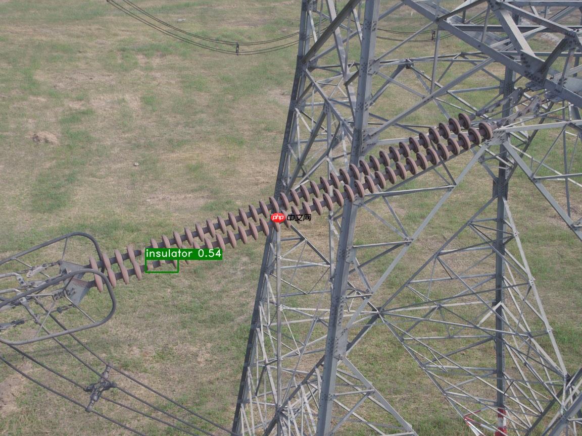基于PaddleX2.0-PicoDet实现高压输电线路绝缘子缺陷检测 - php中文网