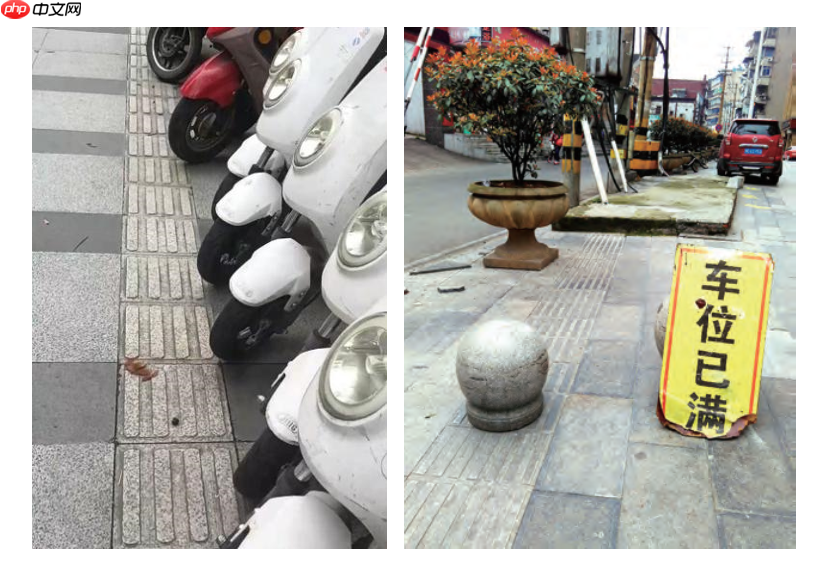 基于飞桨的盲道引导系统 - php中文网