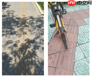 基于飞桨的盲道引导系统 - php中文网