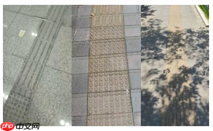 基于飞桨的盲道引导系统 - php中文网