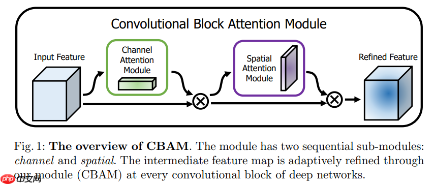 基于改进Efficientnet的植物病虫害检测 - php中文网