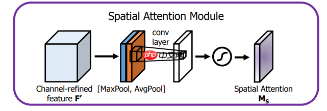 基于改进Efficientnet的植物病虫害检测 - php中文网