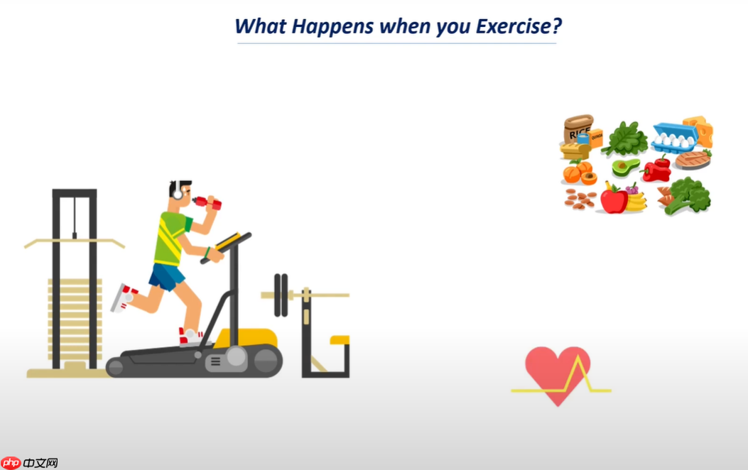 机器学习项目三：XGBoost人体卡路里消耗预测 - php中文网