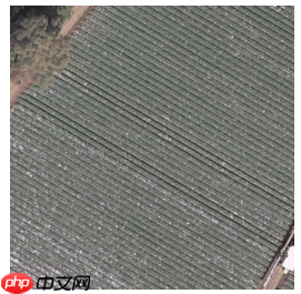 基于paddleSeg的自定义遥感数据语义分割——以DLRSD为例 - php中文网