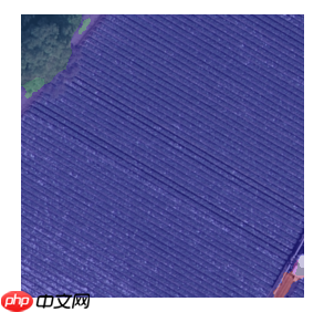 基于paddleSeg的自定义遥感数据语义分割——以DLRSD为例 - php中文网