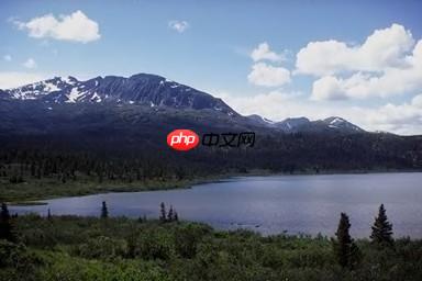 用PaddleClas完成不平衡数据集多标签分类 - php中文网