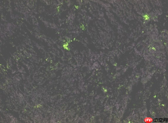 第九届“泰迪杯”数据挖掘挑战赛：岩石样本的智能识别分享 - php中文网