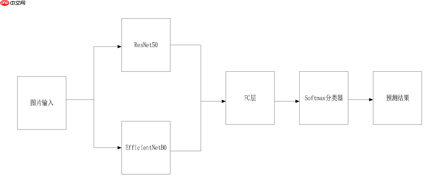 第九届“泰迪杯”数据挖掘挑战赛：岩石样本的智能识别分享 - php中文网