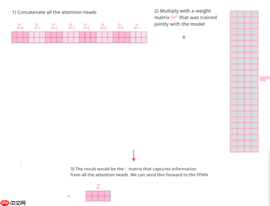 Paddle2.2复现经典论文Transformer(理论篇) - php中文网