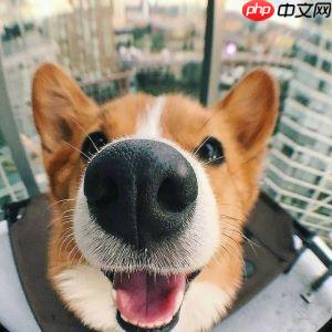 【Al达人特训营】基于狗鼻子识别狗狗身份 - php中文网