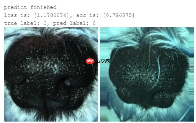 【Al达人特训营】基于狗鼻子识别狗狗身份 - php中文网