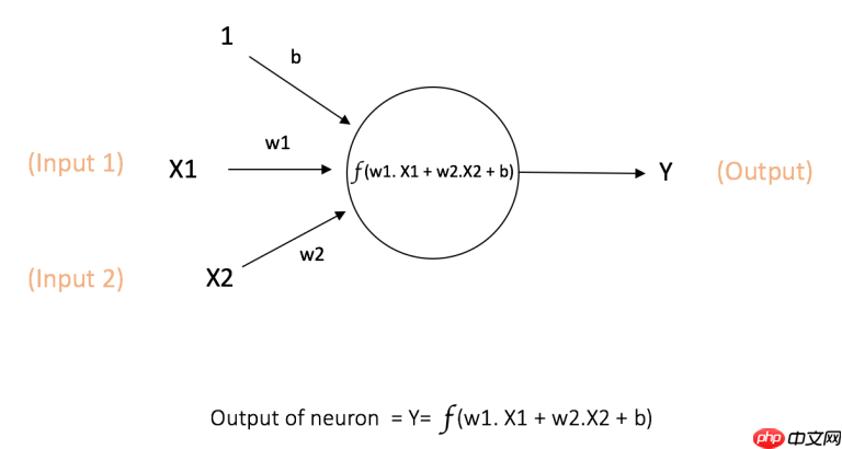 基于飞桨的简单神经网络搭建—以心脏病的预测为例 - php中文网