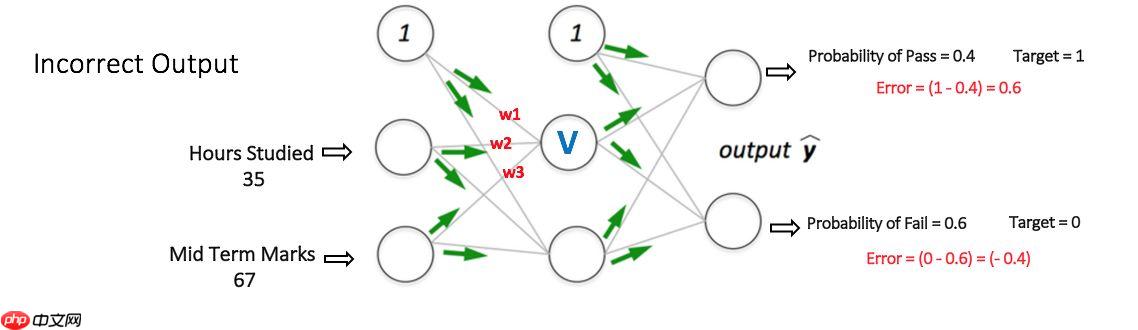 基于飞桨的简单神经网络搭建—以心脏病的预测为例 - php中文网