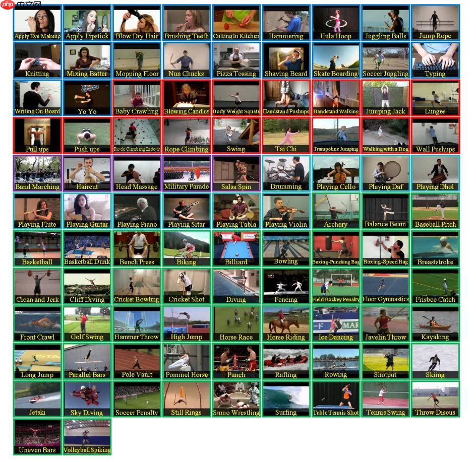 【实践】TSN视频分类 - php中文网