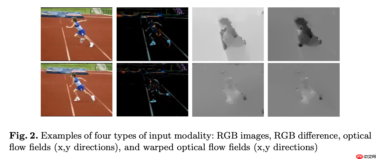 【实践】TSN视频分类 - php中文网