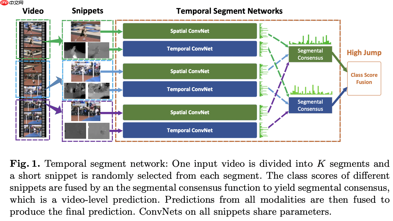 【实践】TSN视频分类 - php中文网