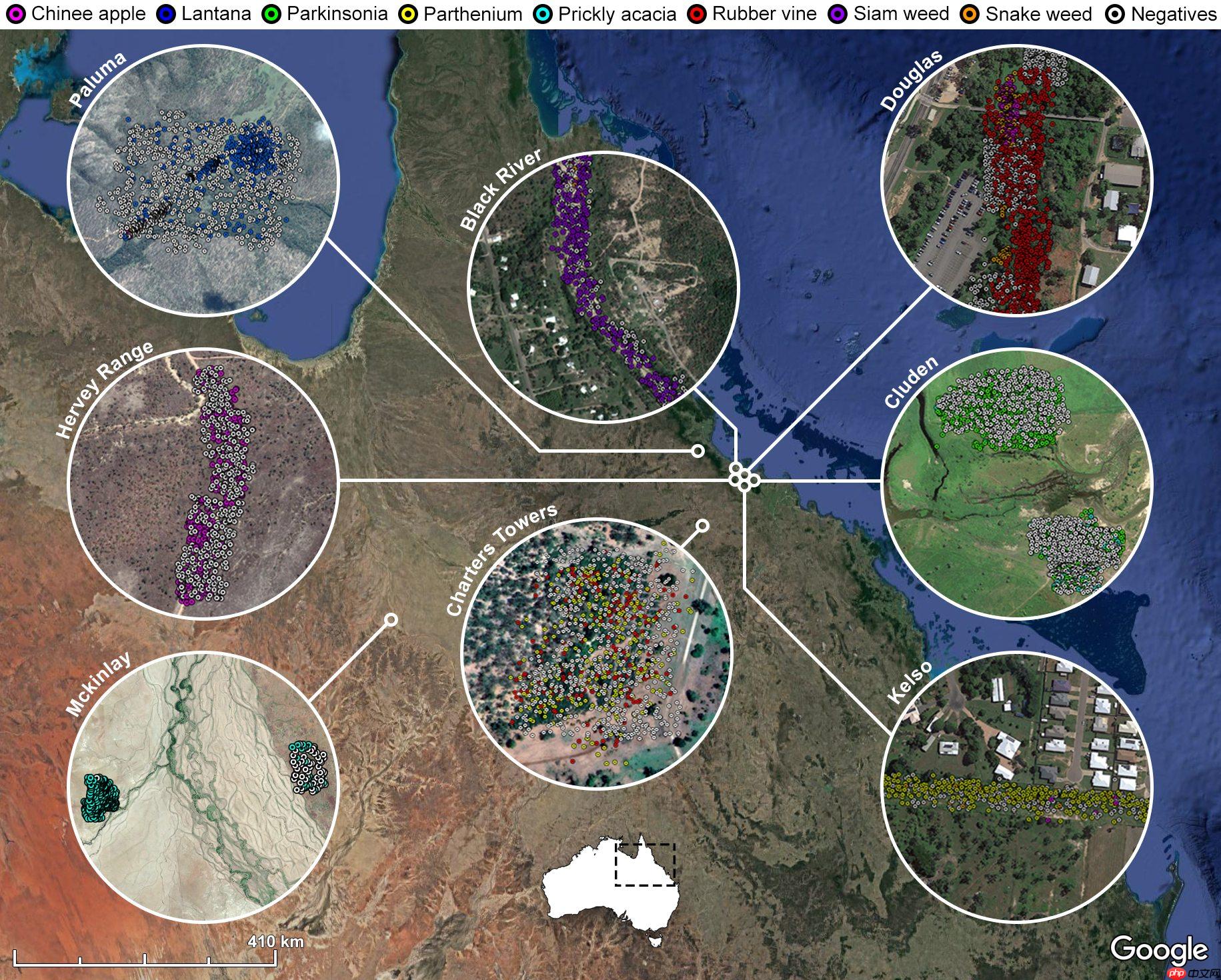 【特训营第三期 】基于PaddleClas的多场景杂草分类 - php中文网