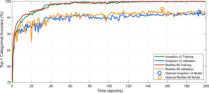 【特训营第三期 】基于PaddleClas的多场景杂草分类 - php中文网