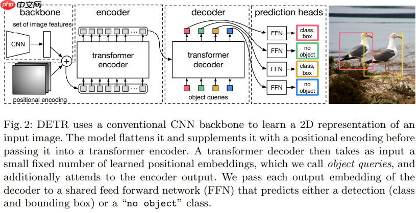 DETR:基于transformer实现端到端目标检测 - php中文网