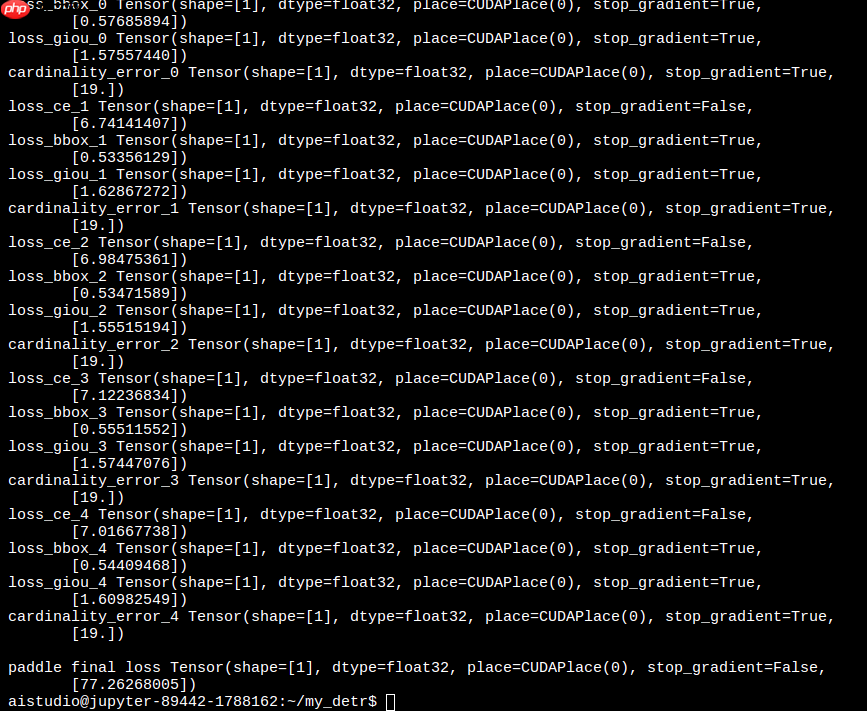 DETR:基于transformer实现端到端目标检测 - php中文网