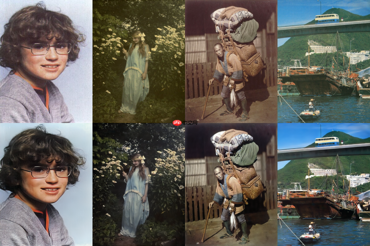 基于PaddlePaddle复现Old2Life - php中文网