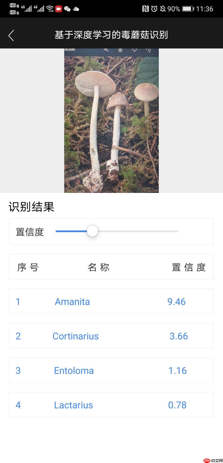 手把手教你部署一个蘑菇识别的小应用 - php中文网