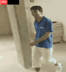 趣味表情包制作：GIF倒放 - php中文网