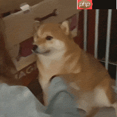 趣味表情包制作：GIF倒放 - php中文网