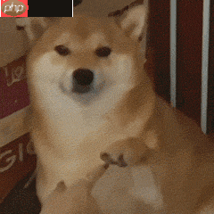 趣味表情包制作：GIF倒放 - php中文网