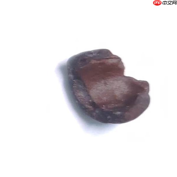 基于PaddleX2.0-PP-LCNet模型的咖啡豆质检分类 - php中文网