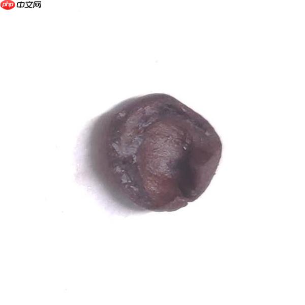 基于PaddleX2.0-PP-LCNet模型的咖啡豆质检分类 - php中文网