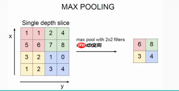 【PaddleHub模型贡献】一行代码实现海洋生物识别 - php中文网