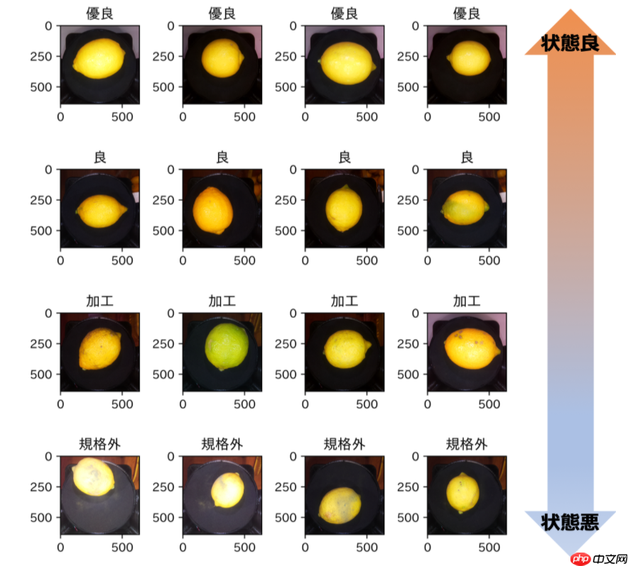 基于MobileNetV2的柠檬外观分类实践 - php中文网