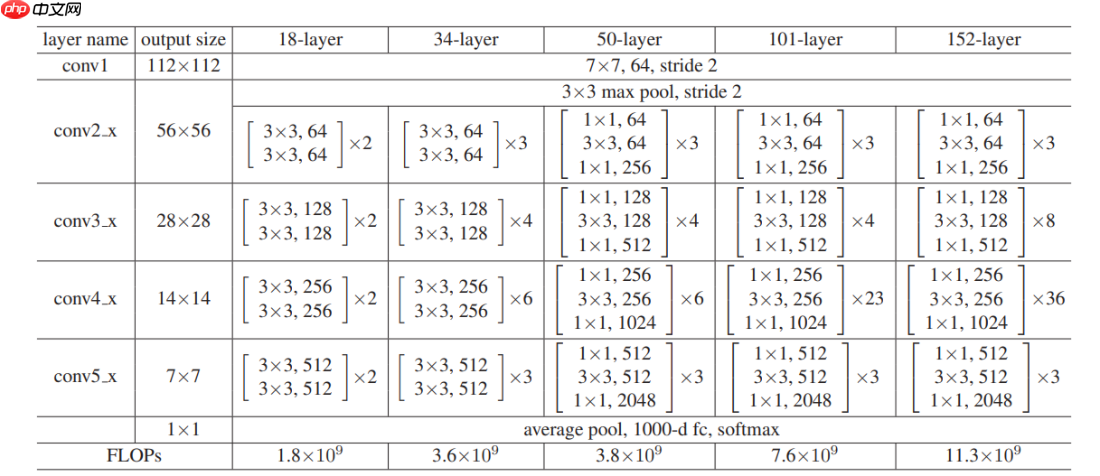 基于计算机视觉的全细胞计数自动化分析方法 - php中文网