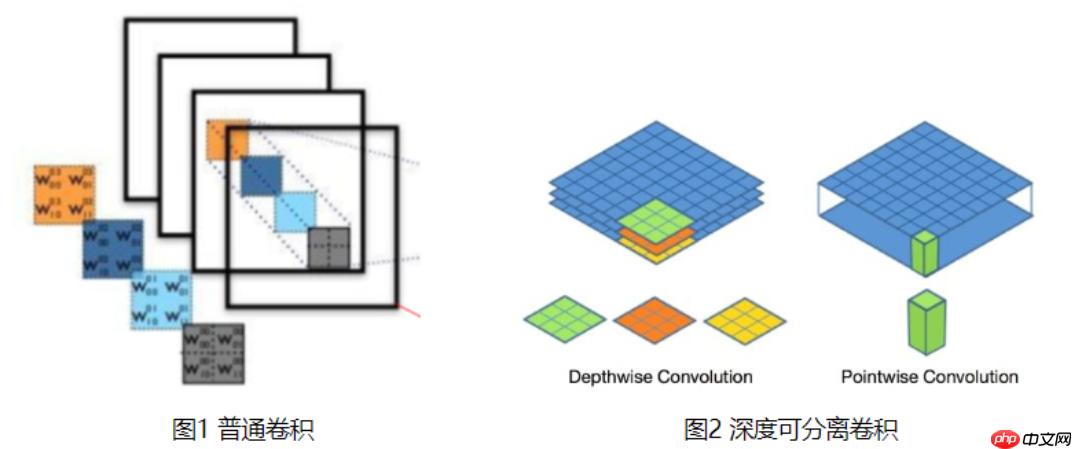 基于计算机视觉的全细胞计数自动化分析方法 - php中文网