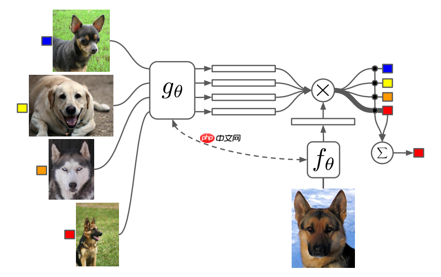 【飞桨论文复现赛-小样本学习】MatchingNet - php中文网